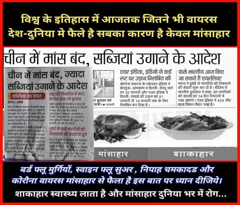 Aware of the Pros of Vegetarian food